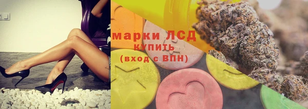 индика Алзамай