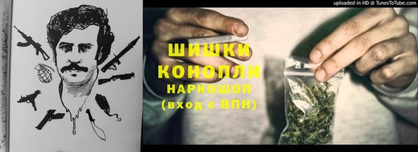 apvp Алексин