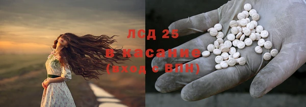 индика Алзамай